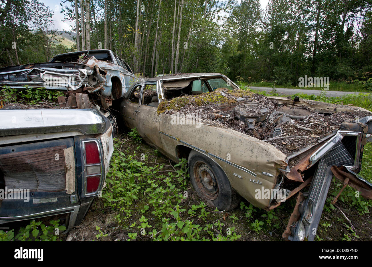 Car cemetery. Hope. Alaska. USA Stock Photo