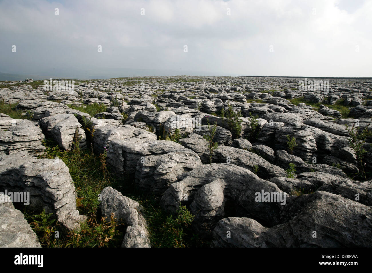 Hawkswick Clowder Limestone Pavement above Littondale in the Yorkshire Dales National Park Stock Photo