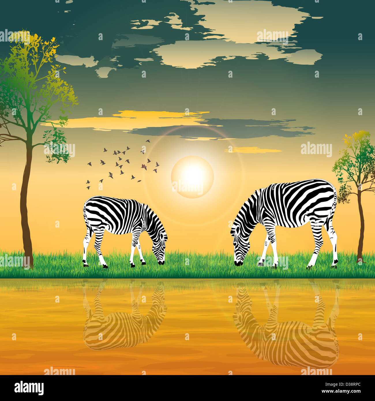 Two zebras grazing on riverbank Stock Photo
