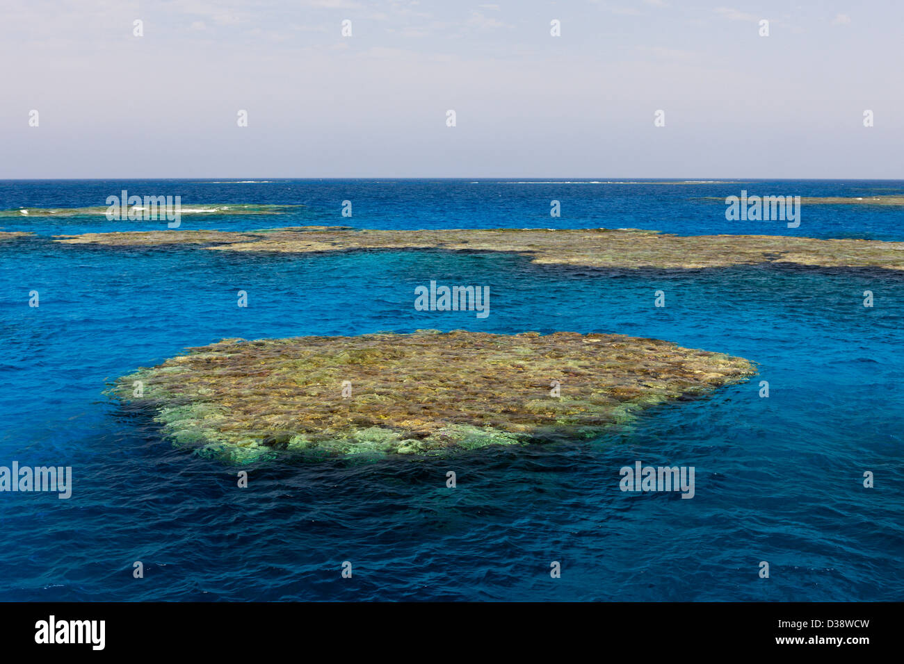 Reefs of Zabargad Island, Red Sea, Egypt Stock Photo