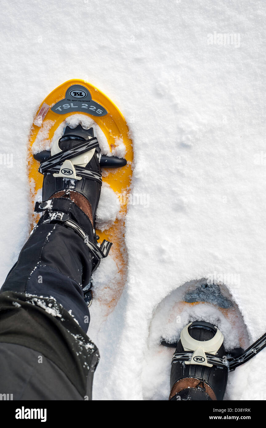 Close up of walker wearing snowshoes on feet while snowshoeing in deep powder snow in winter Stock Photo