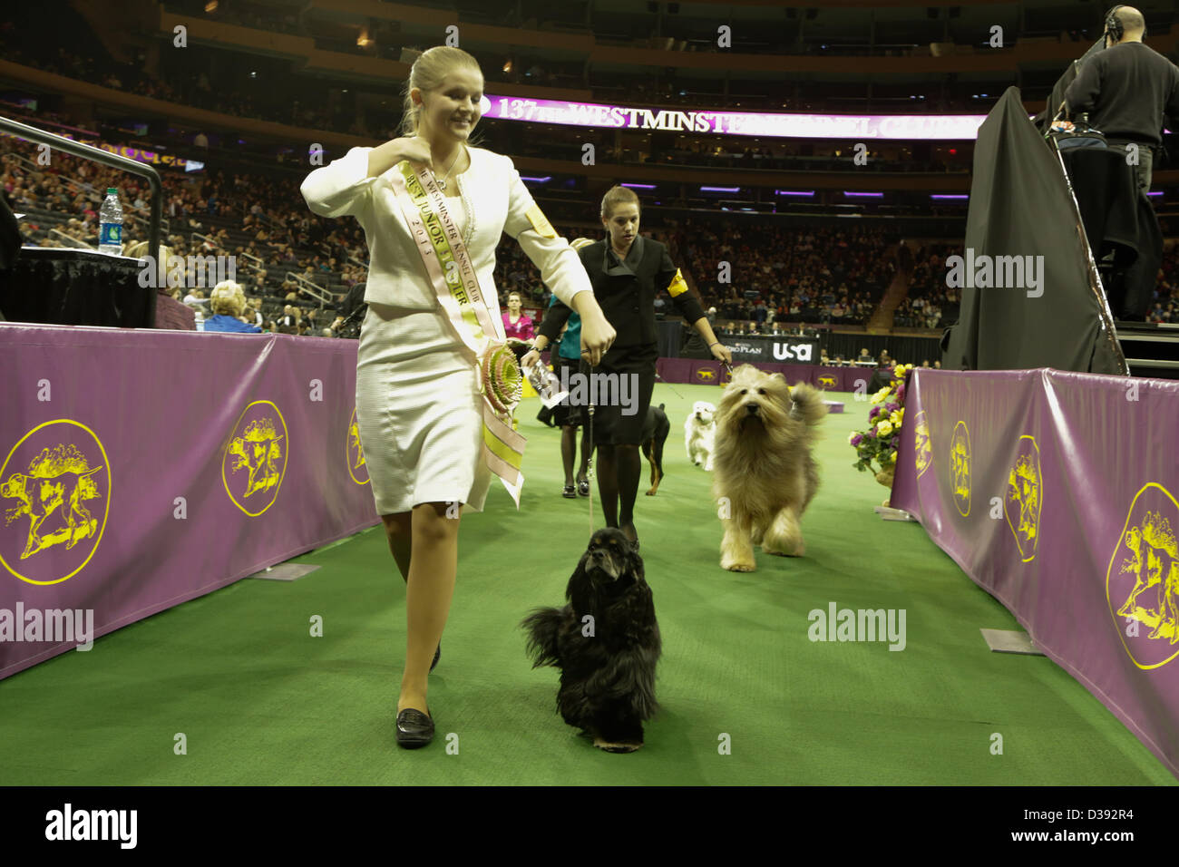 New York City, US, 12 February 2013. Savanah Livingston leaves the ring after winning the Junior Handler award with her American cocker spaniel at the 137th annual Westminster Kennel Club Dog Show. Stock Photo