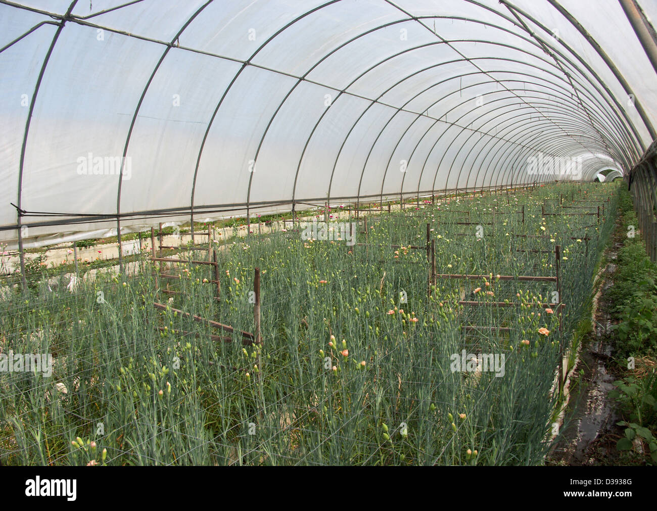 Hydroponics farming system hires stock photography and images Alamy