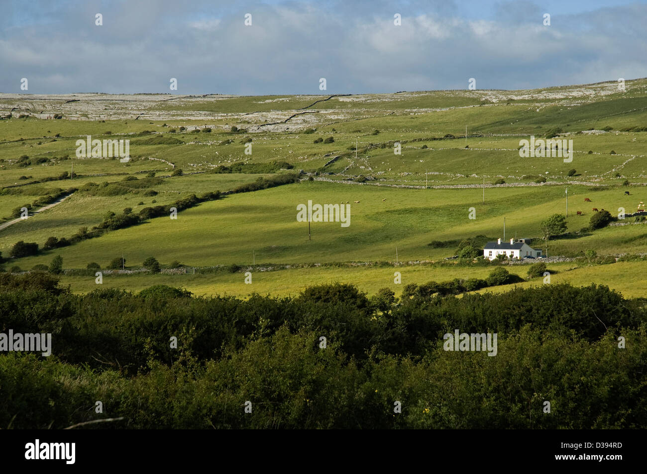 The Burren, Co Clare, Ireland Stock Photo Alamy