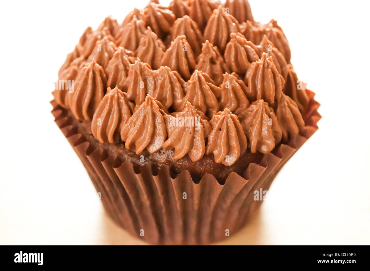Chocolate cup cake lit from behind Stock Photo