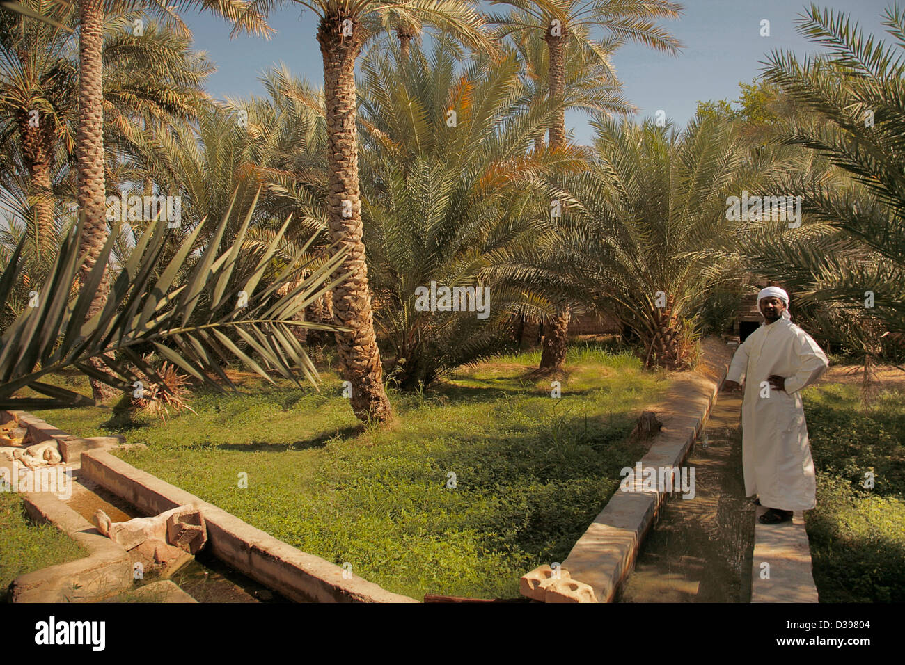 UAE Emirat of Abu Dabi Sliman Omar in the Hilli oasis at Al Ain Stock Photo