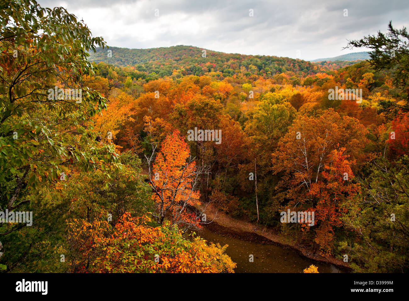 The Buffalo River in Arkansas during the peak of the Autumn season