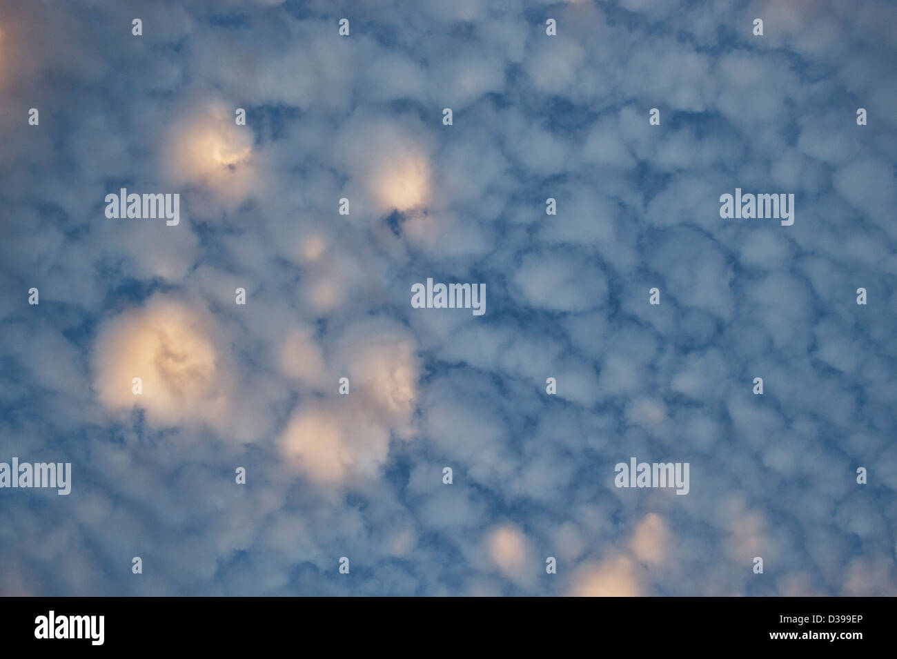 Altocumulus undulatus. Cloud patterns in the sky over India Stock Photo