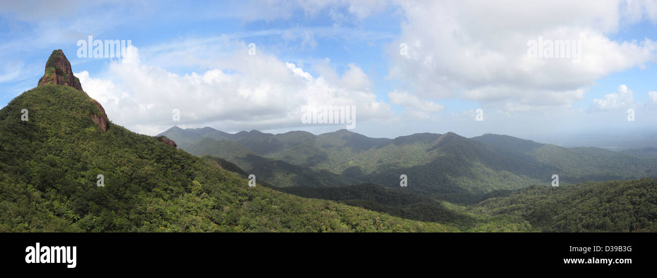 Landscape view tropical rainforest hi-res stock photography and images ...