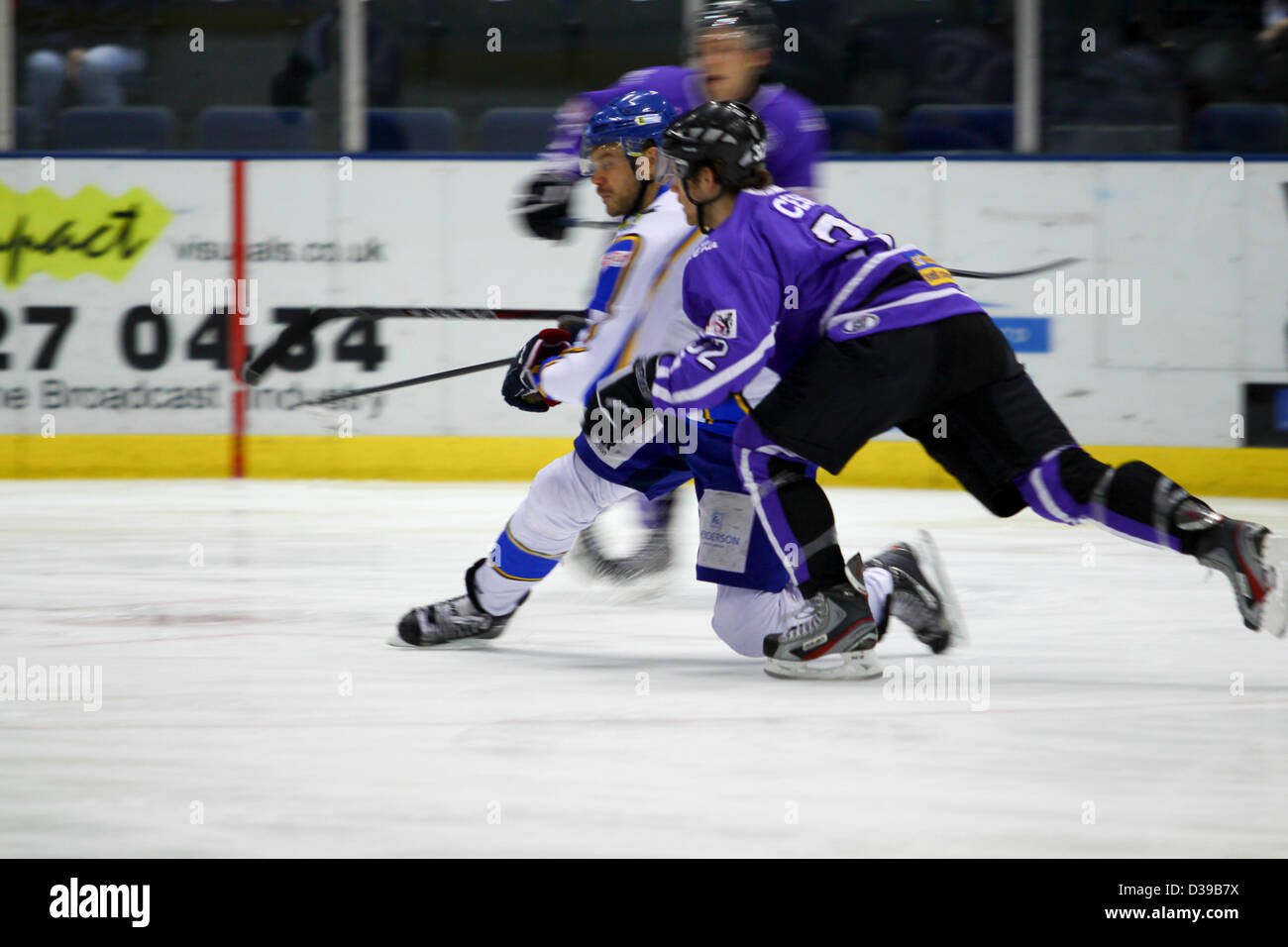 Stingrays chase hires stock photography and images Alamy
