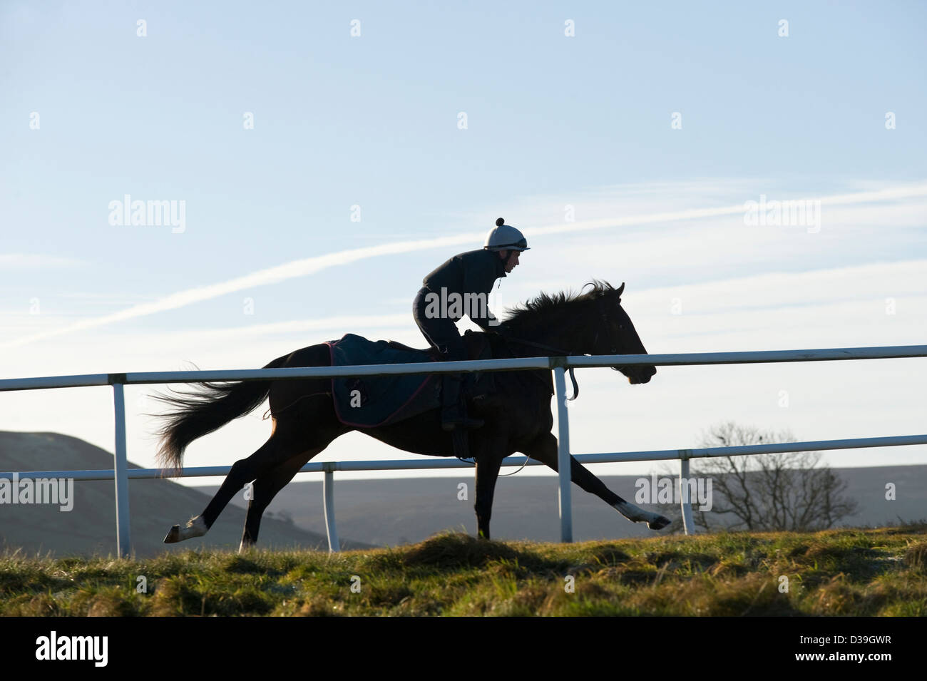 Race horse galloping. Stock Photo