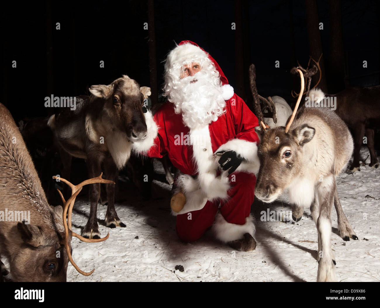 Man in father christmas costume with reindeer, Lapland Stock Photo