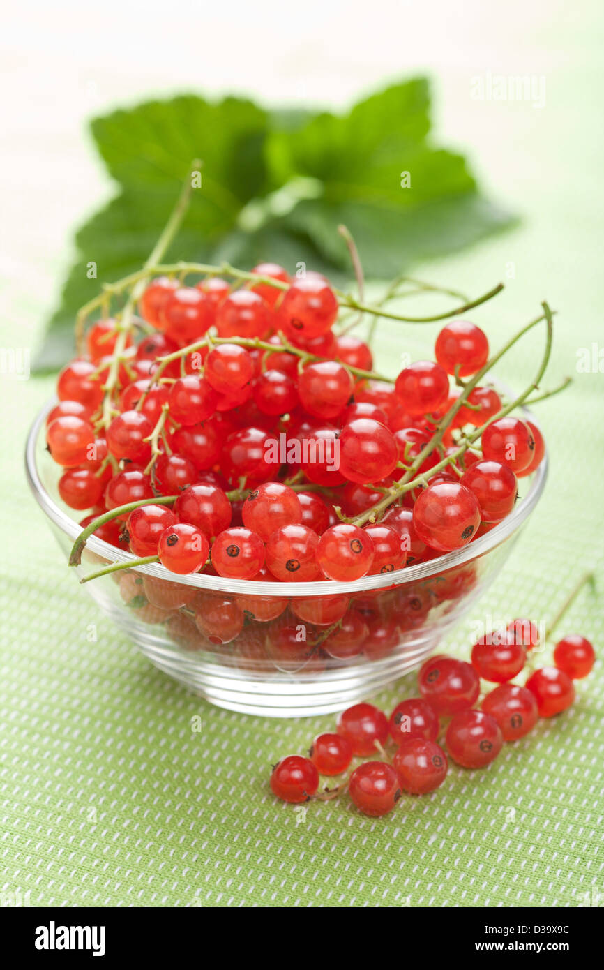 fresh redcurrant Stock Photo