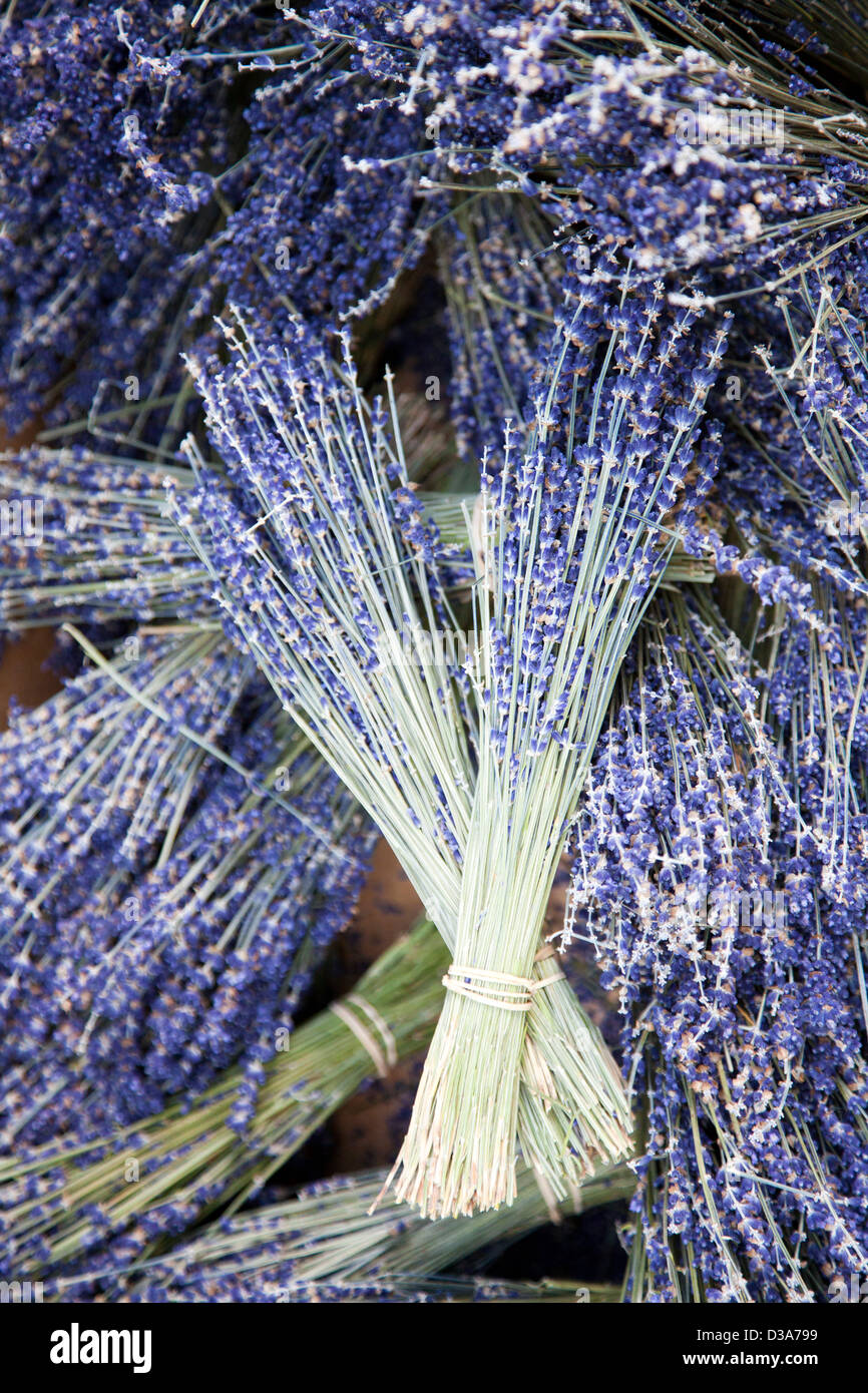 Lavender dried hires stock photography and images Alamy