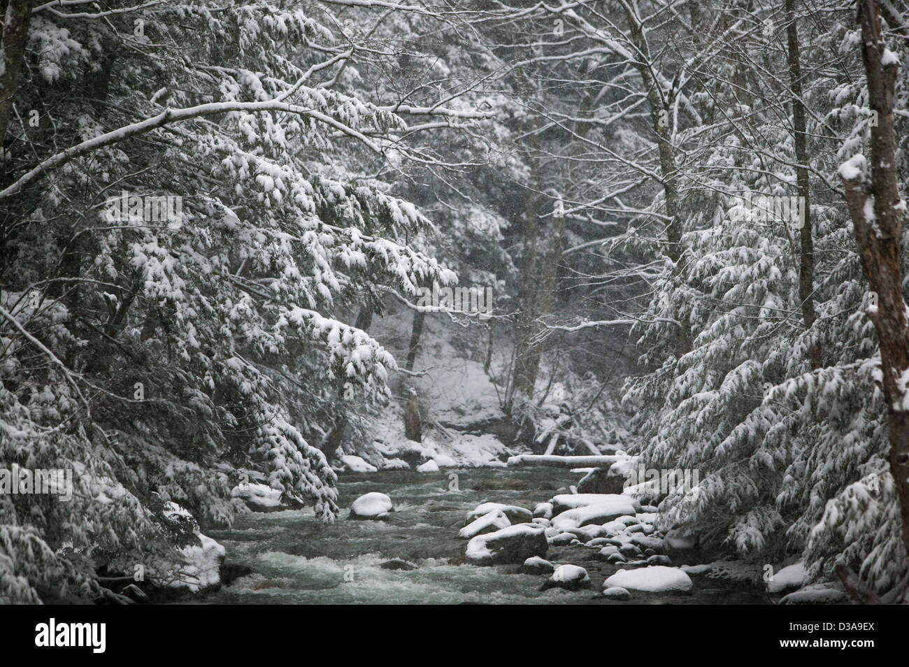 Stream flowing through snow covered hi-res stock photography and images ...