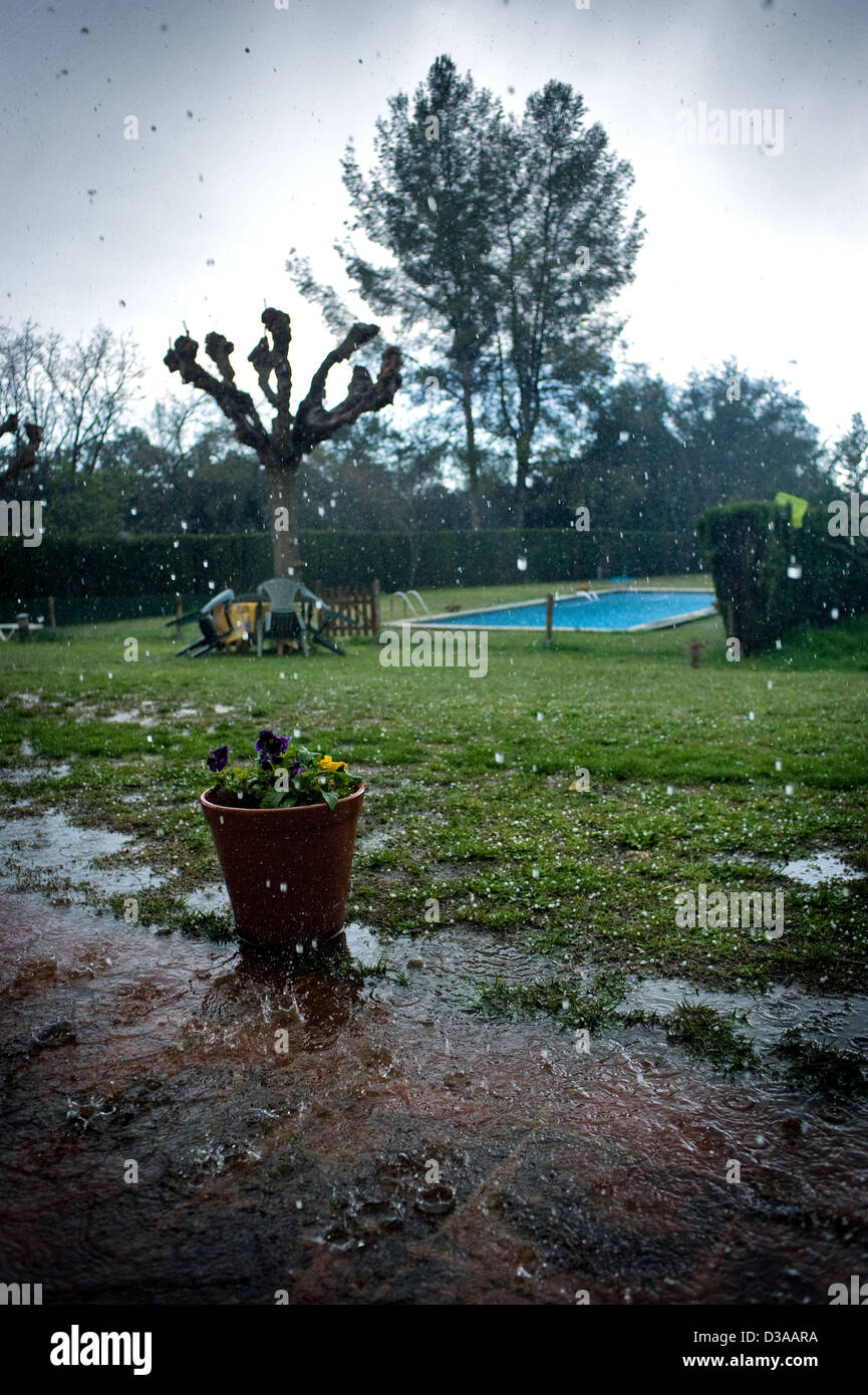Raining at the garden Stock Photo Alamy