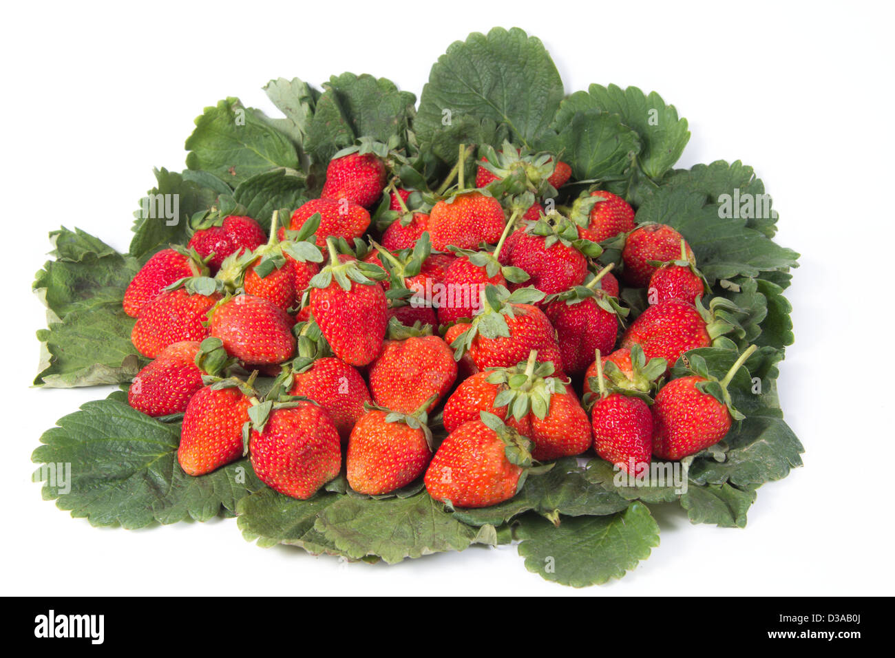 Strawberry red with green leaf isolated on a white background Stock ...