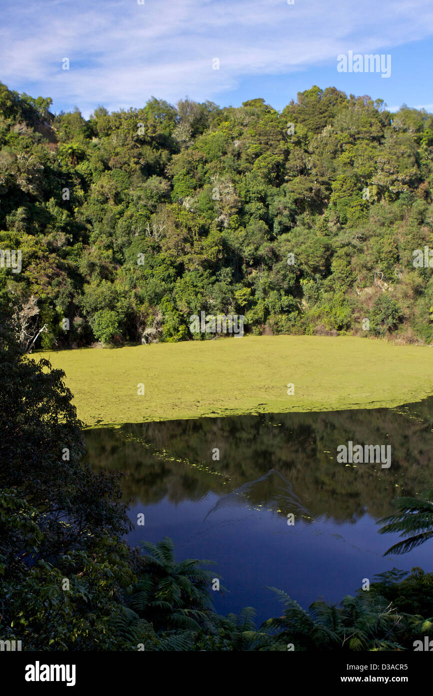 Waimangu Volcanic Valley North Island New Zealand Stock Photo