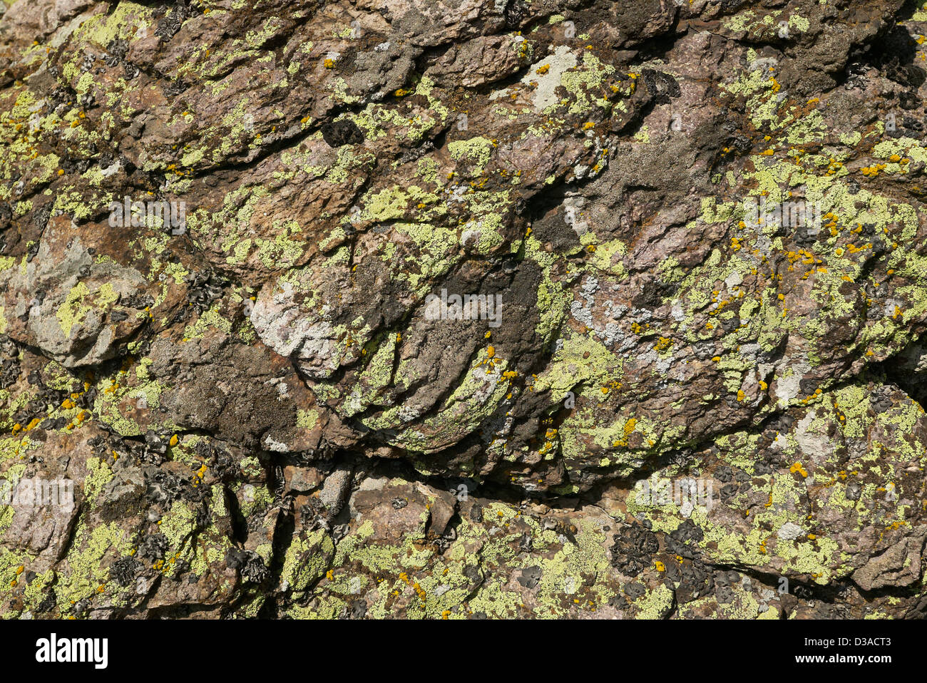 Stone with random lichens, natural rock background Stock Photo - Alamy