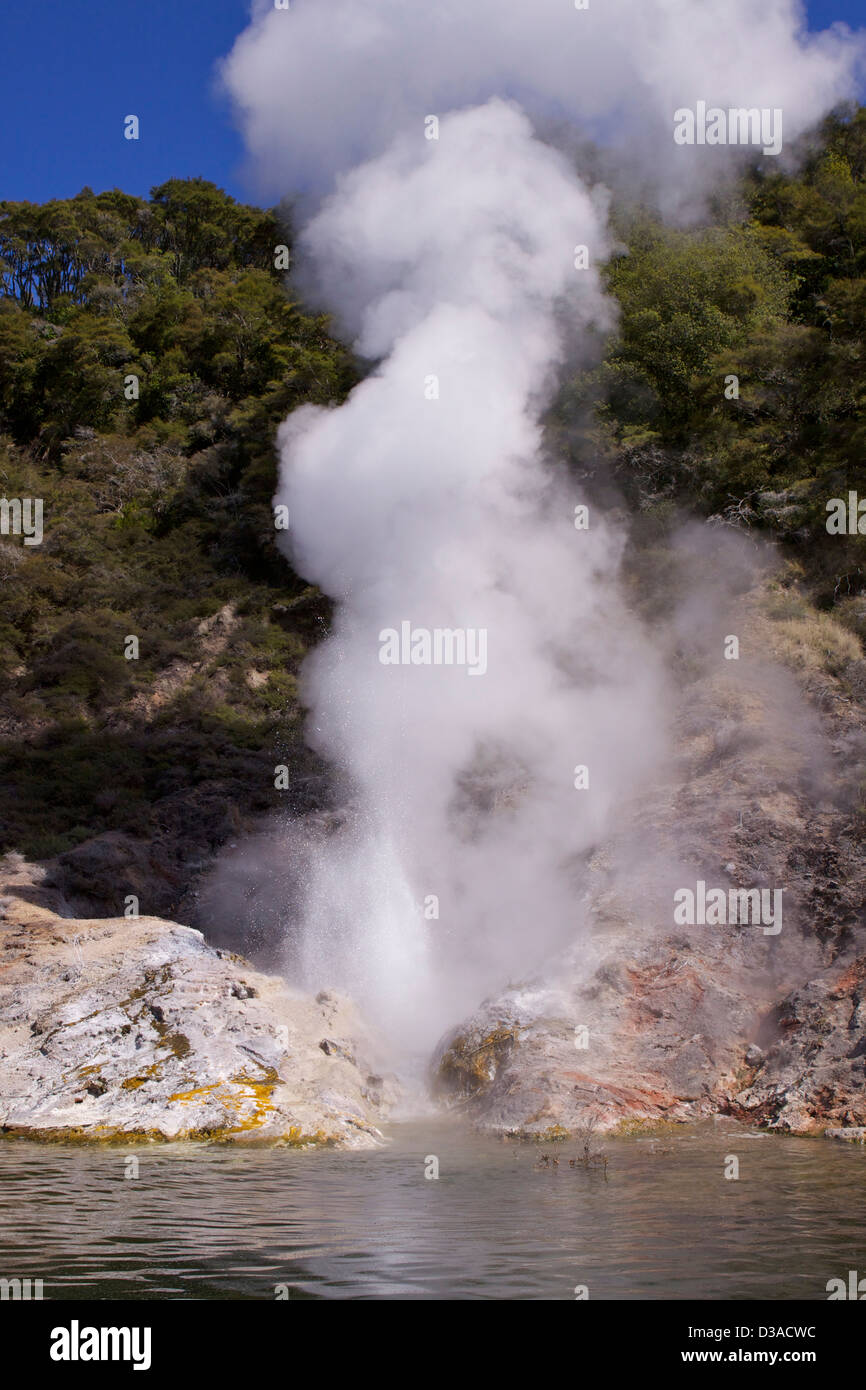 Waimangu Volcanic Valley North Island New Zealand Stock Photo