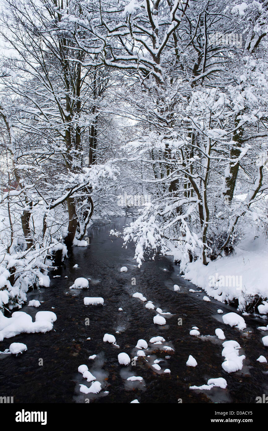 Woodland river hi-res stock photography and images - Alamy