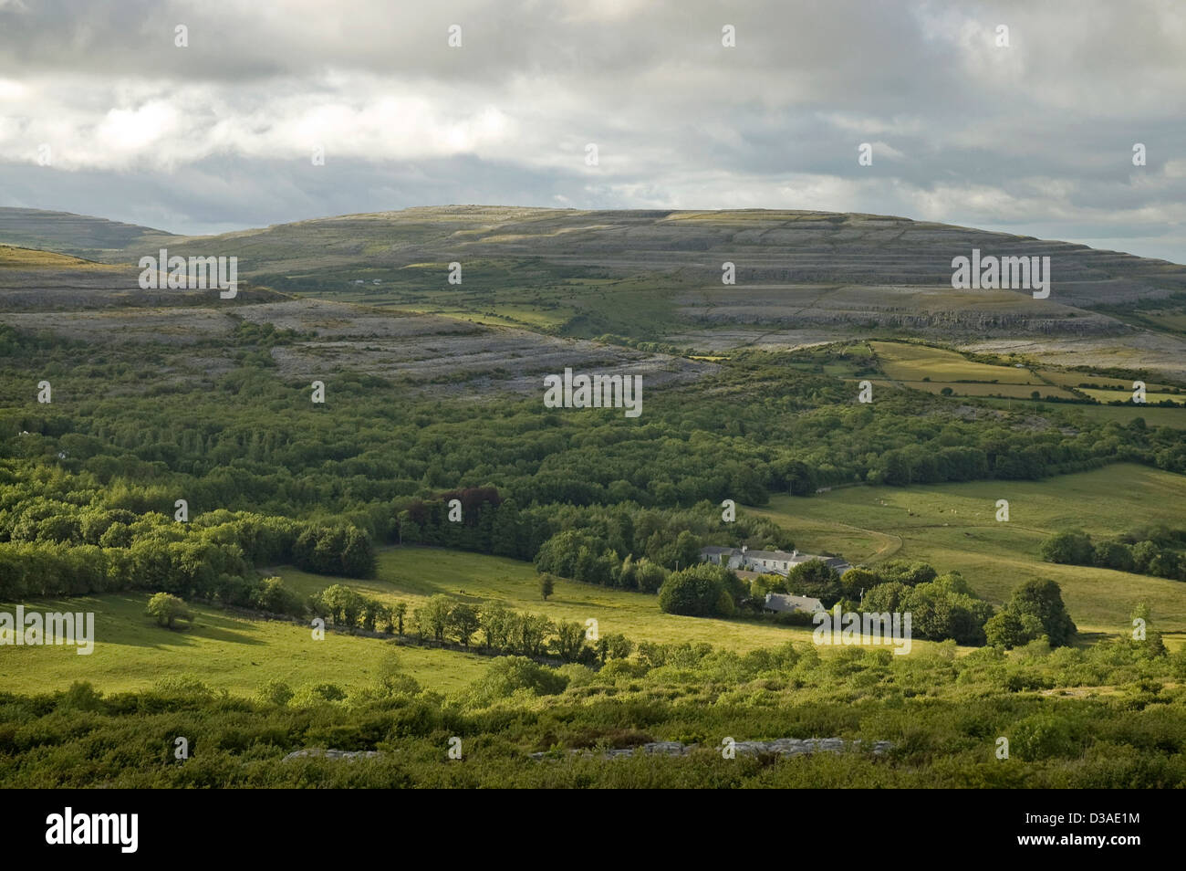 Limestone hills, The Burren, Co Clare, Ireland Stock Photo Alamy