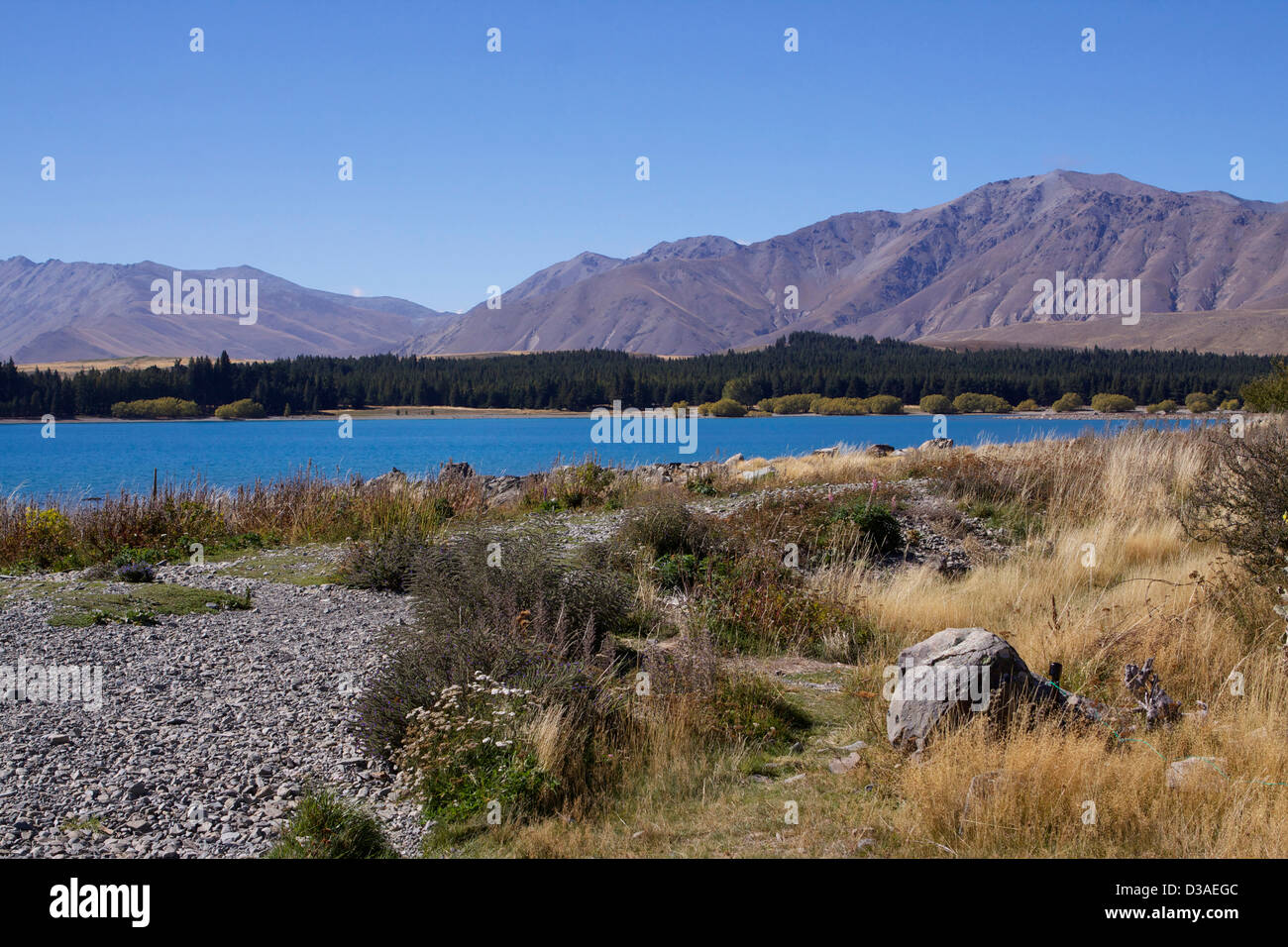 Lake Tekapo South Island New Zealand travel Stock Photo - Alamy