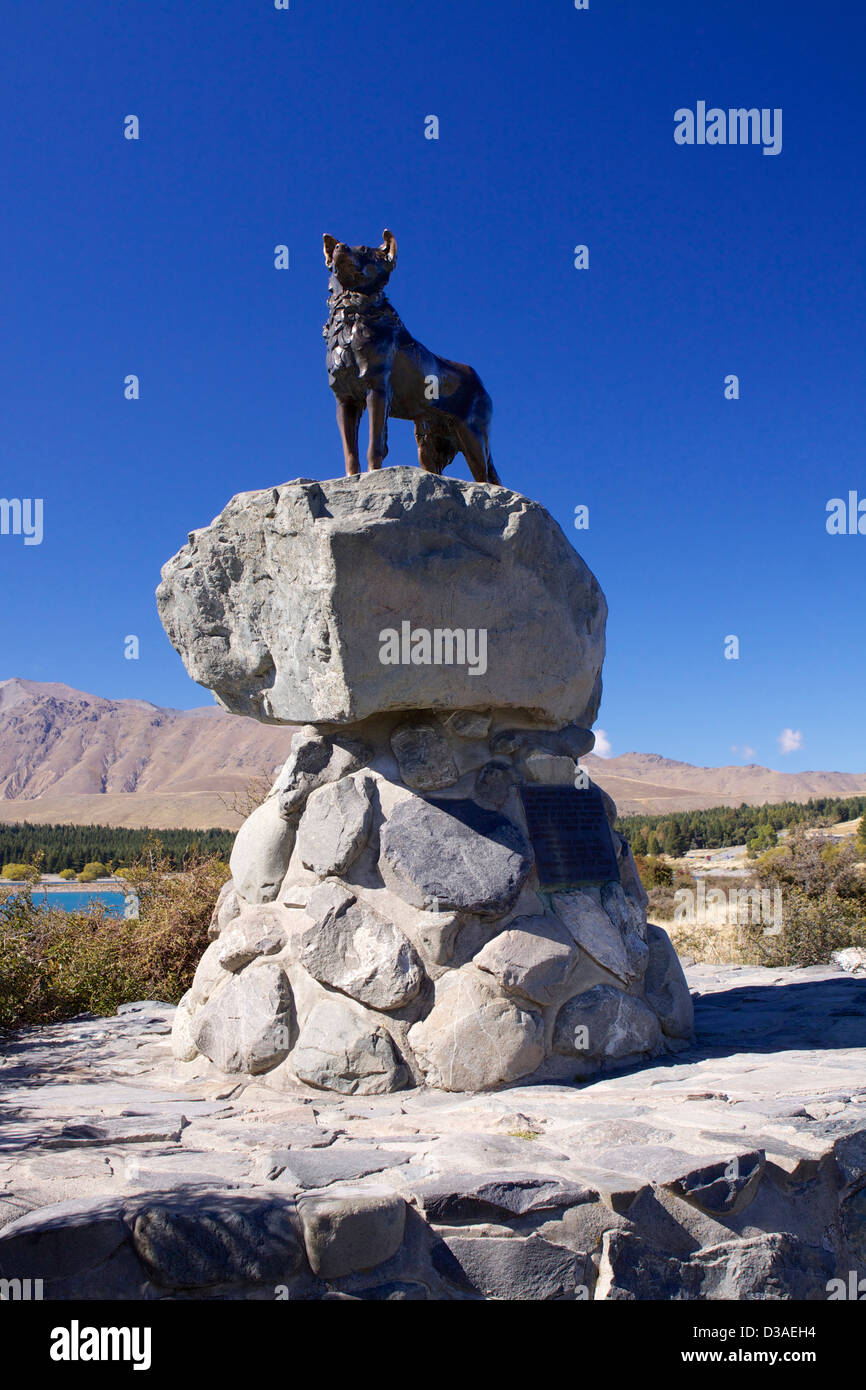 Lake Tekapo South Island New Zealand travel Stock Photo - Alamy