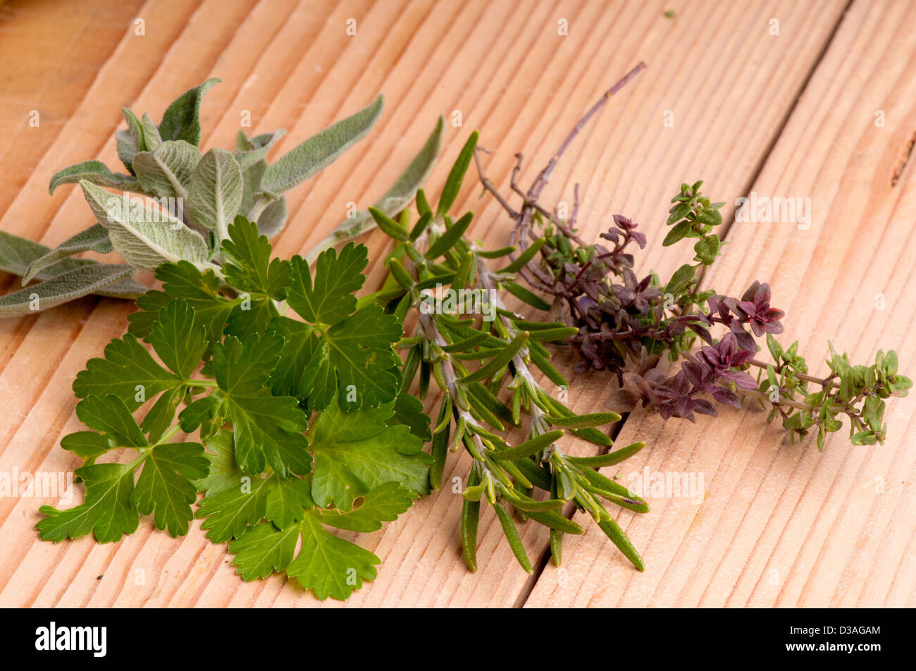 Parsley, sage, rosemary and thyme on an antique chopping board. Stock Photo
