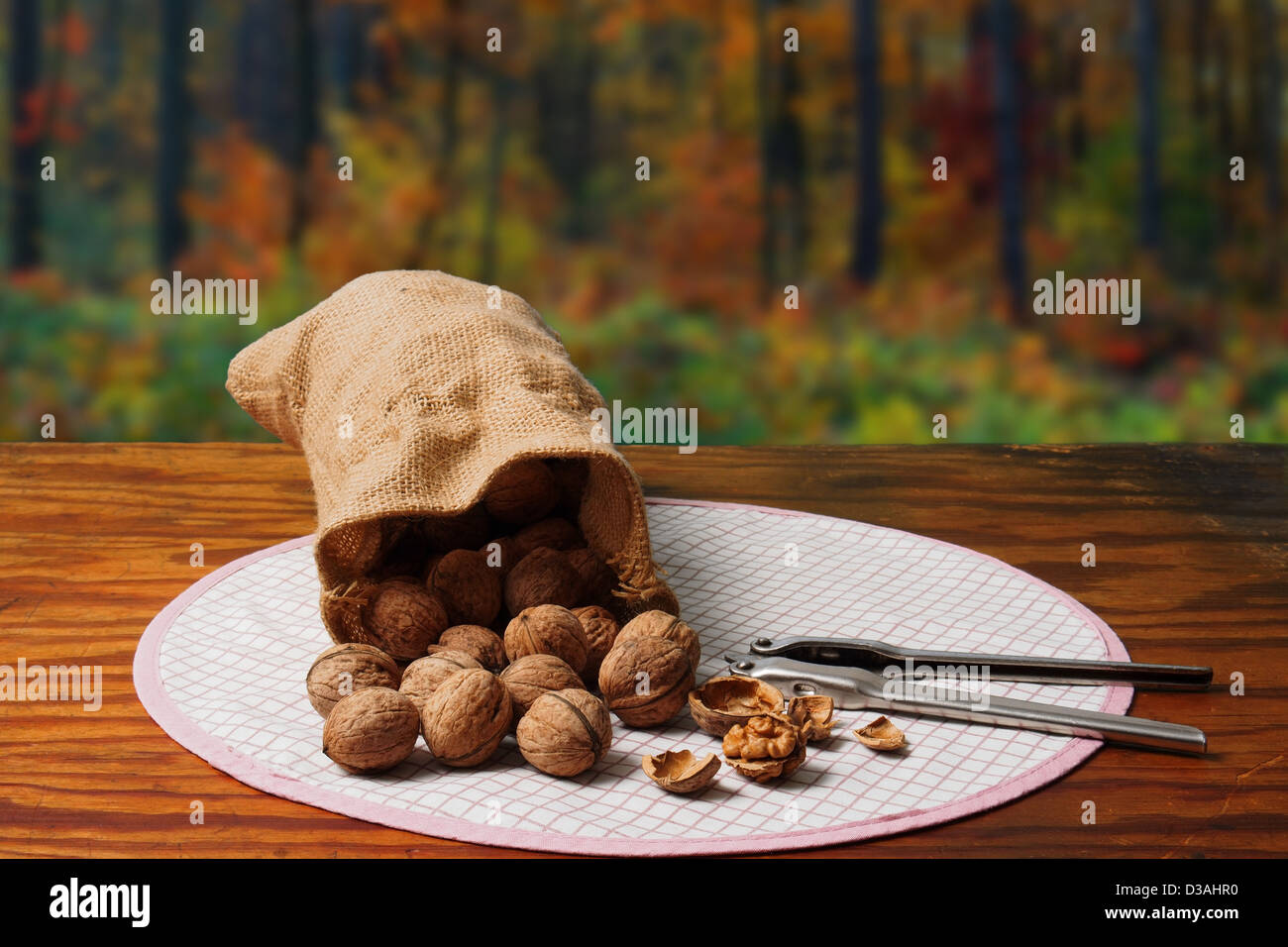 Nutcracker and Nuts Stock Photo Alamy