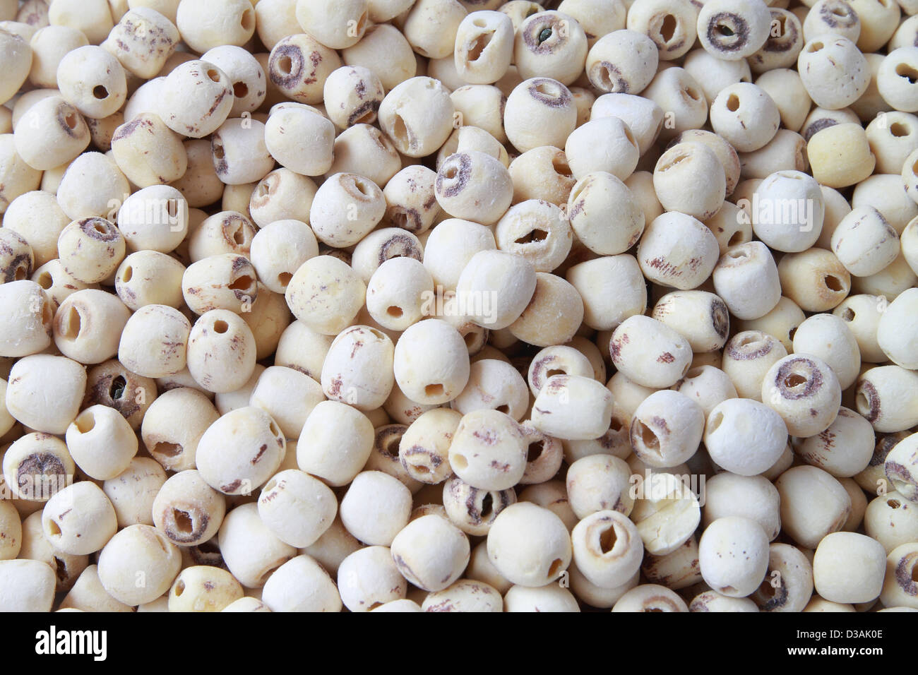 A healthy lotus nuts. background lotus seeds Stock Photo Alamy