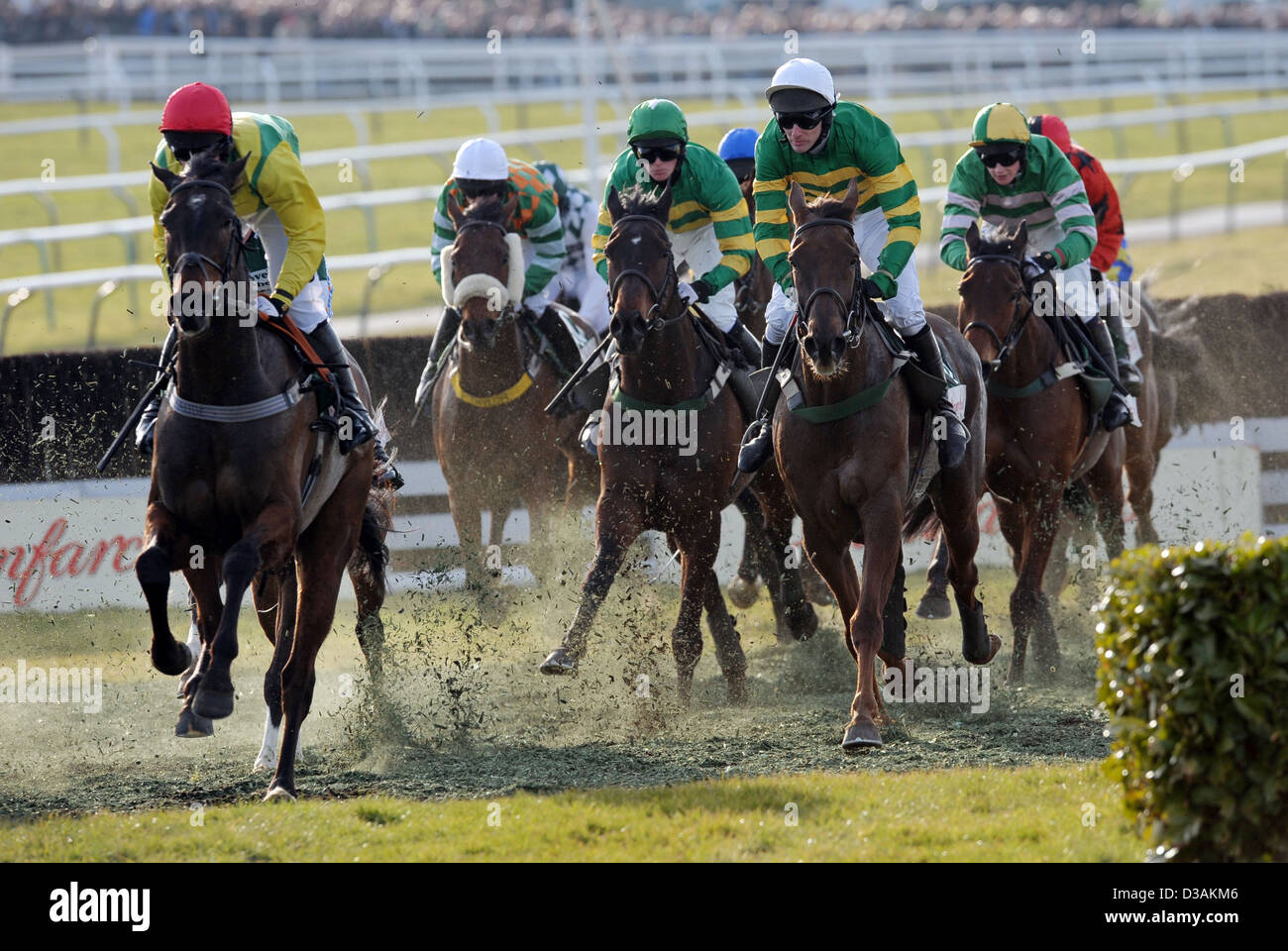 Jockeys ride their horses in front of the Grandstand during The Cheltenham Festival an annual horse racing event in England Stock Photo