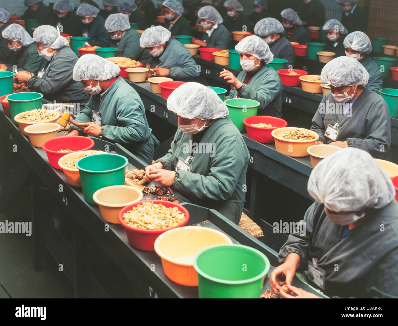 women manual workers in nut processing plant Stock Photo