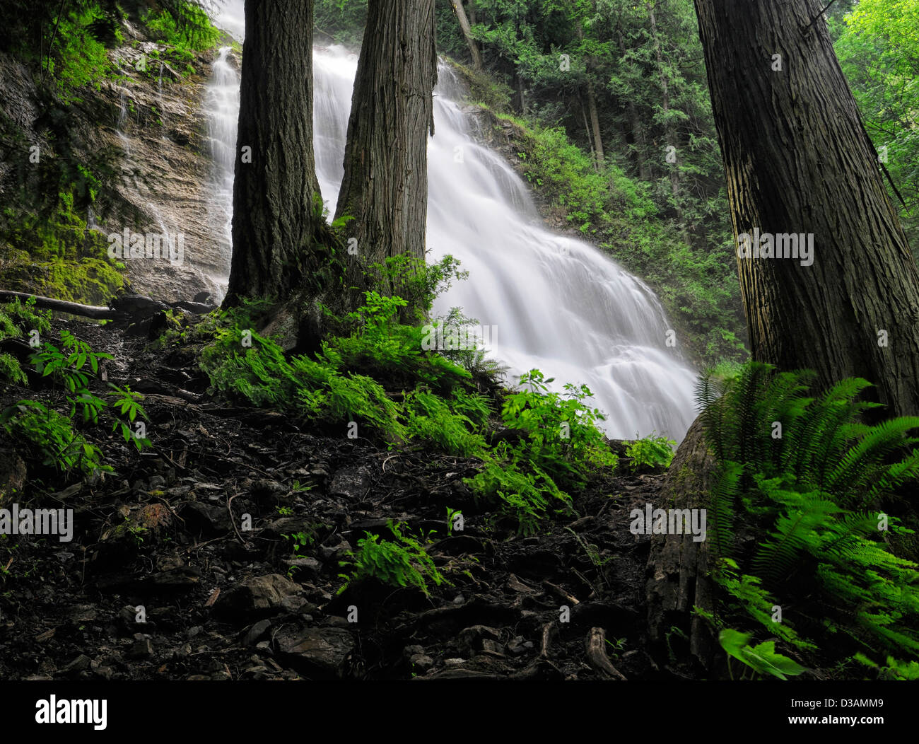 Bridal Veil Falls Provincial Park Chilliwack British Columbia Canada white water waterfall rainforest lush green undergrowth Stock Photo