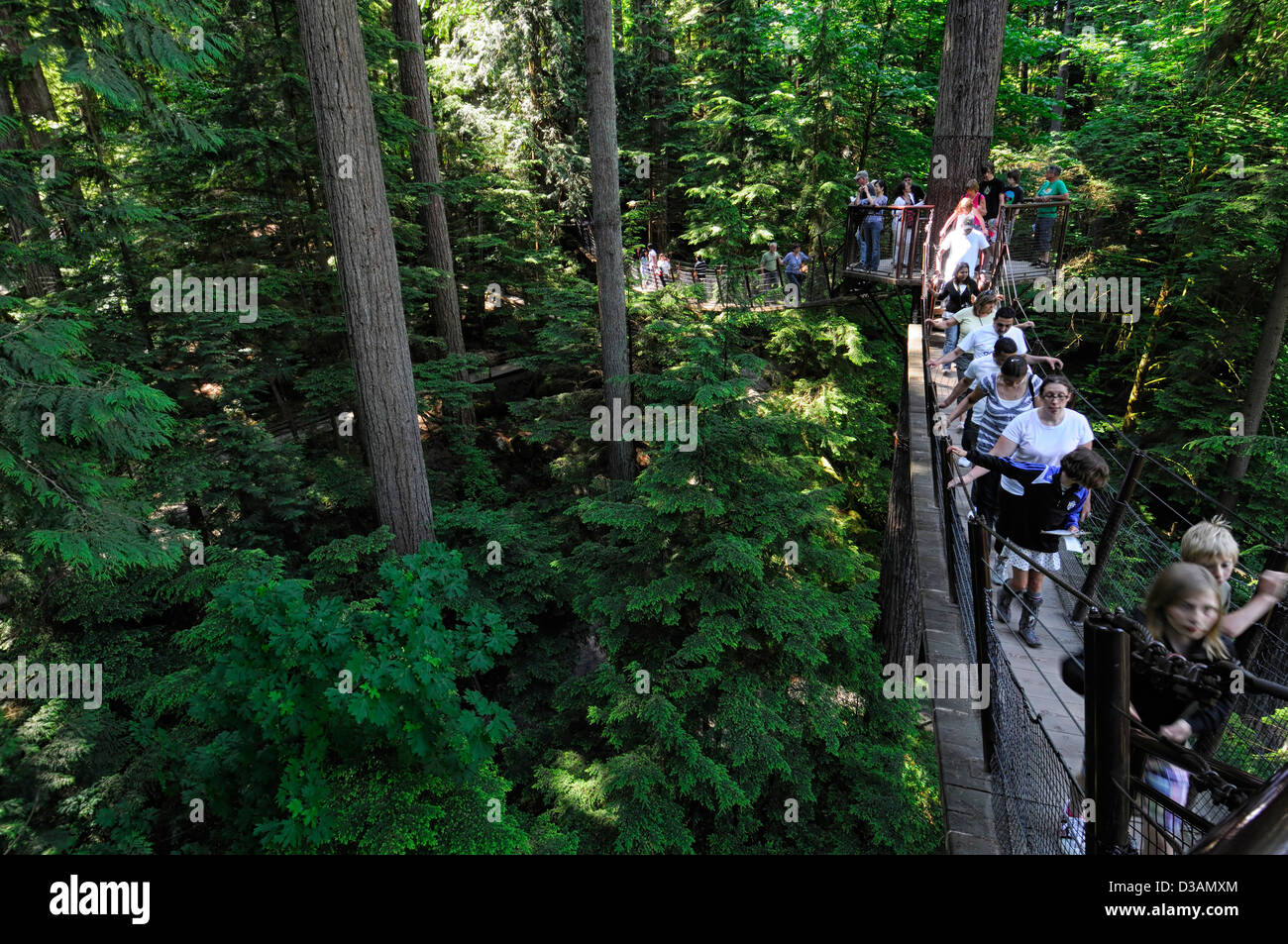 Tourists on the treetops walk at Capilano Suspension Bridge Park Vancouver cantilevered suspended walkway thrill high height Stock Photo