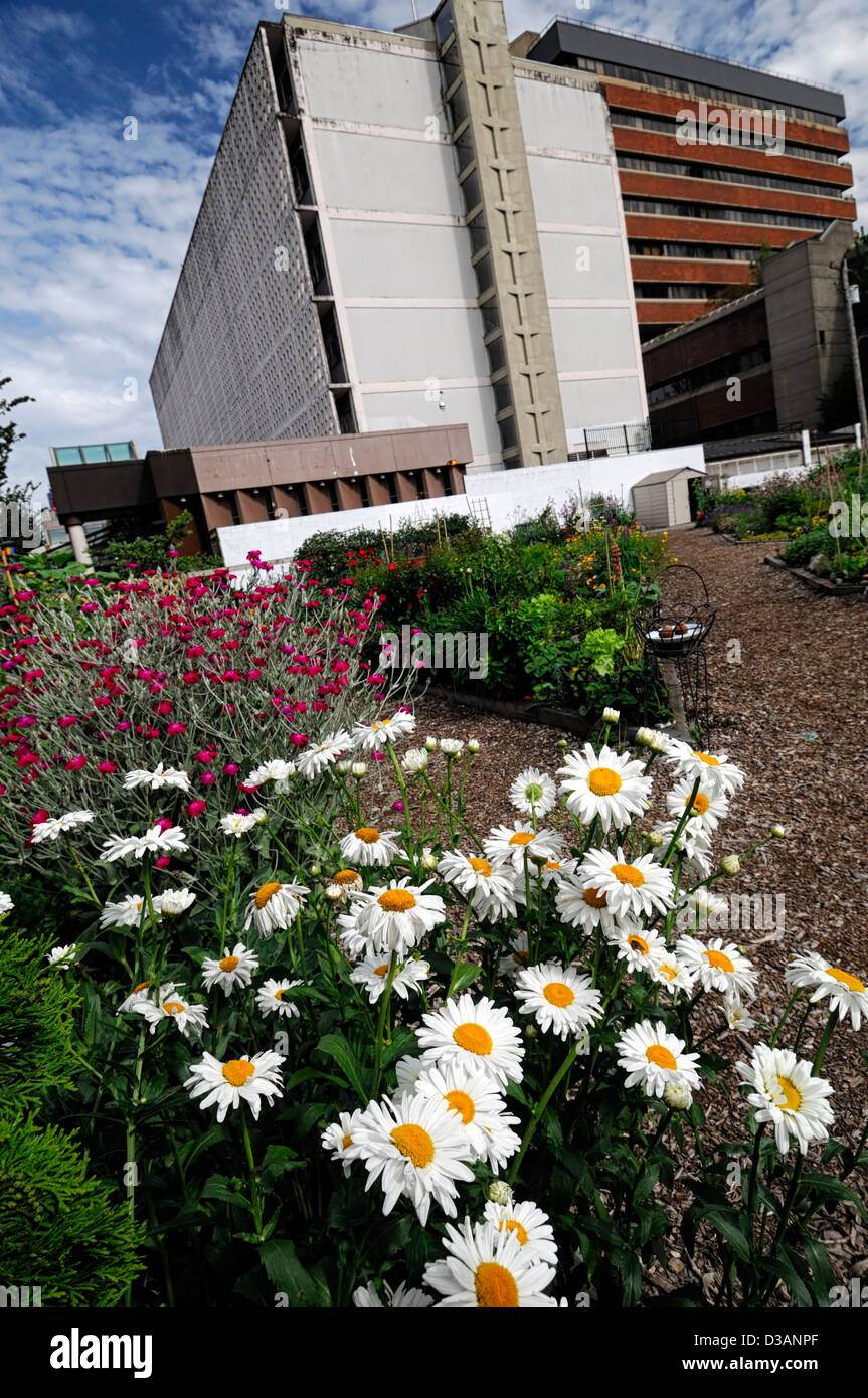 Davie Village Community Garden Vancouver BC Canada allotment allotments