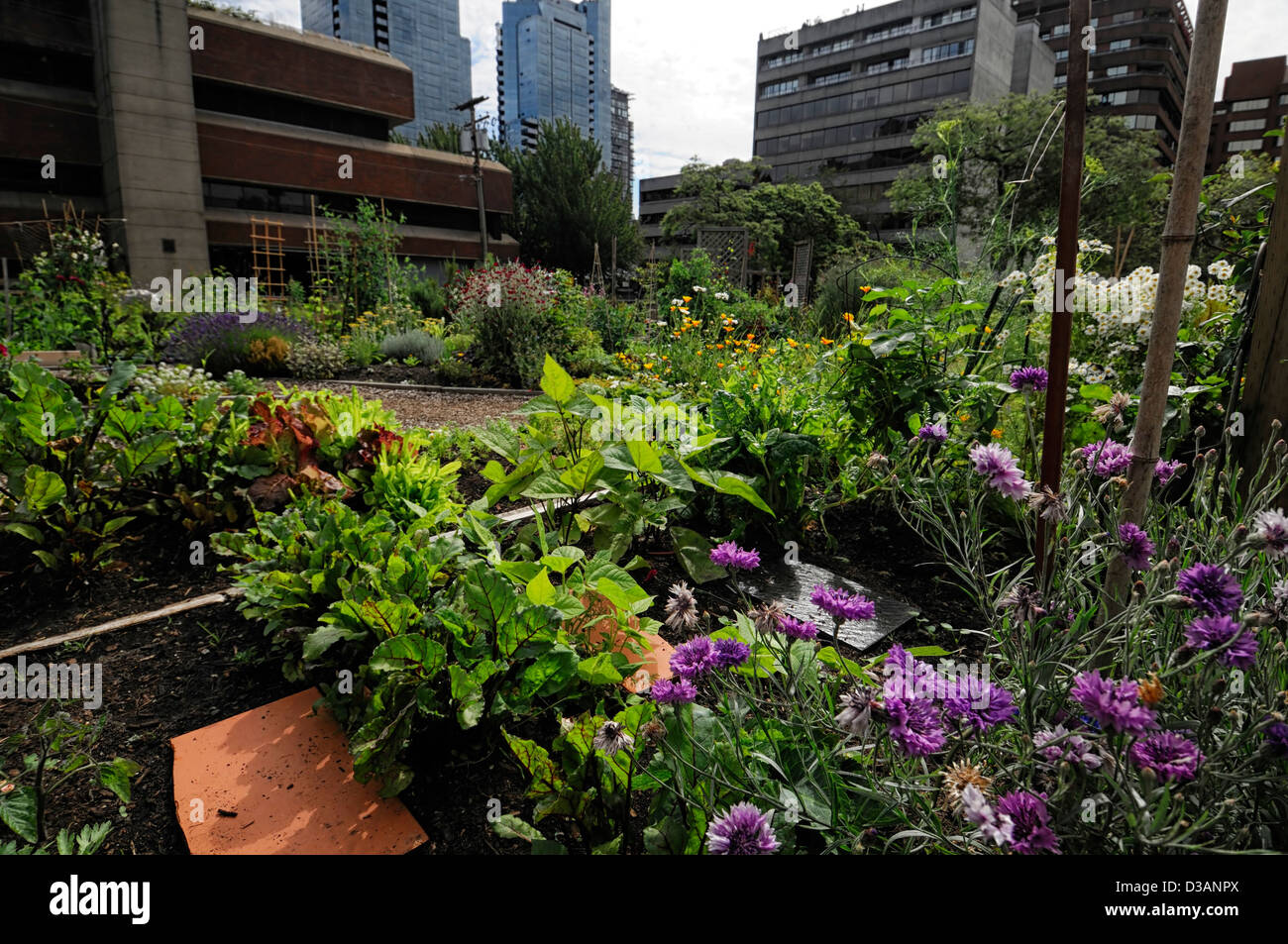 Community Garden High Resolution Stock Photography And Images Alamy