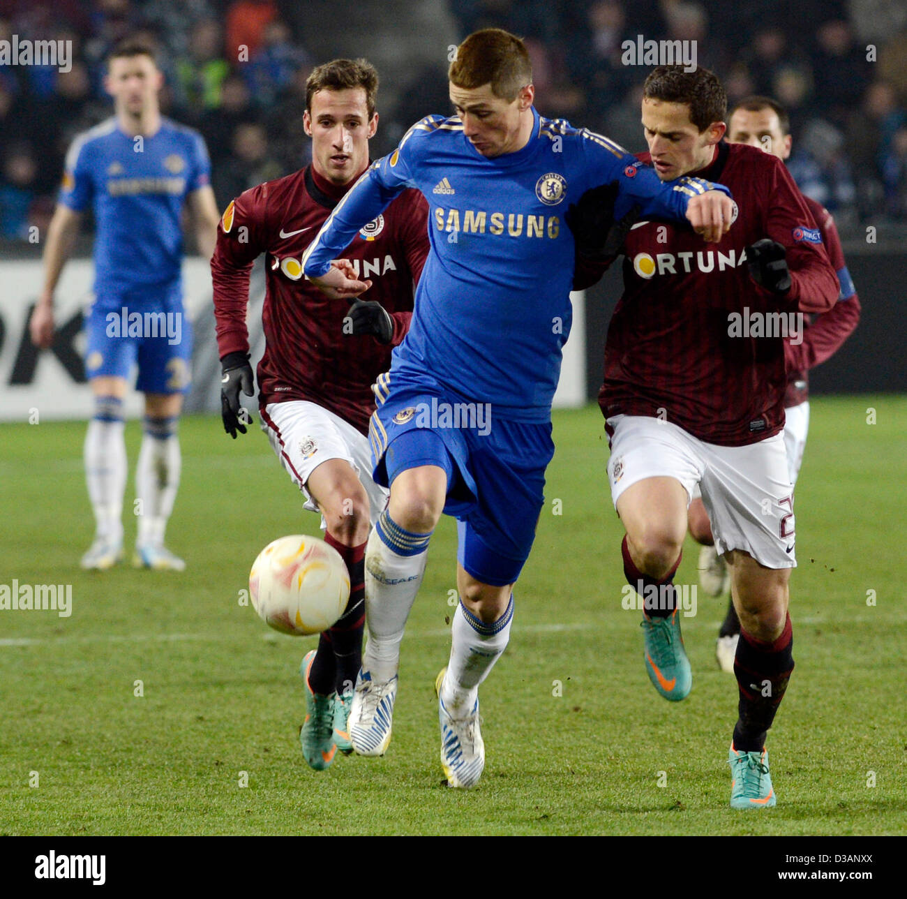 Europa League: Fernando Torres on target as Chelsea beat Steaua Bucharest, Football News