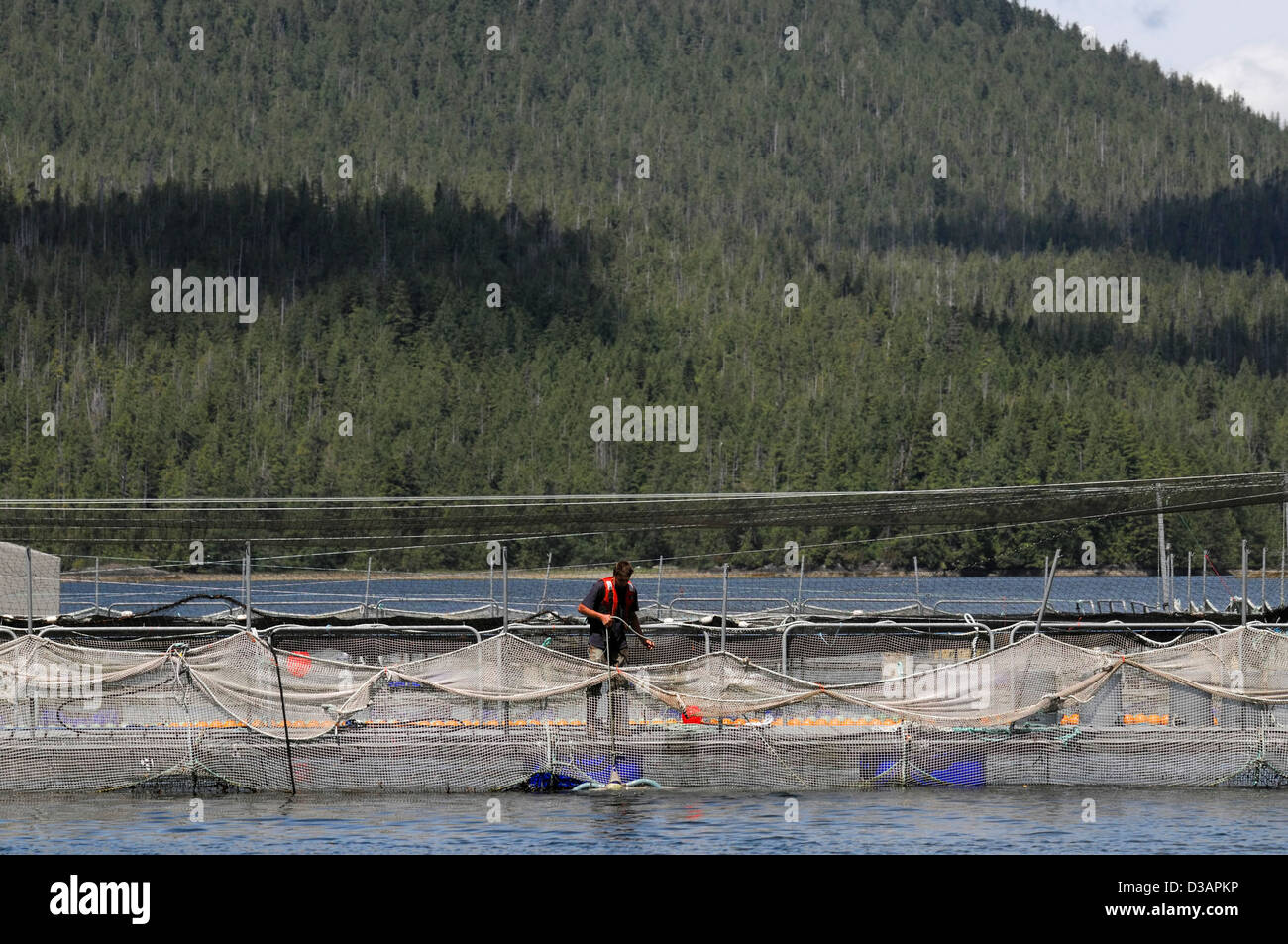 Fish net mending hires stock photography and images Alamy