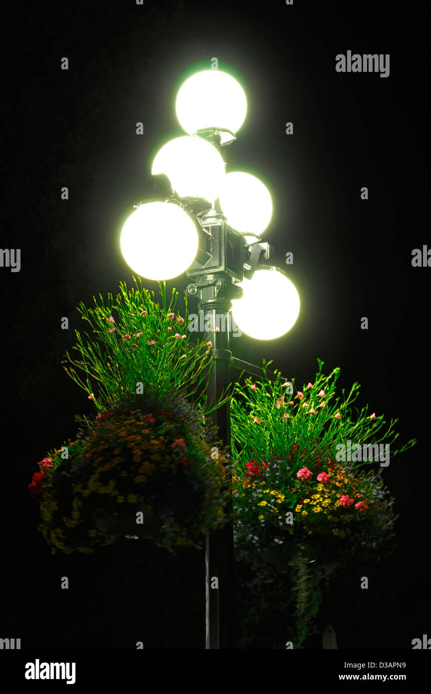 colourful colorful hanging baskets illuminated illuminate lit lighting street lights victoria vancouver island canada night time Stock Photo
