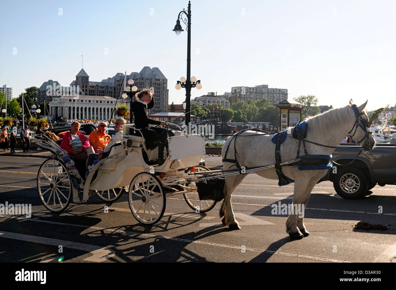 horse drawn cart carriage buggy traditional mode transport