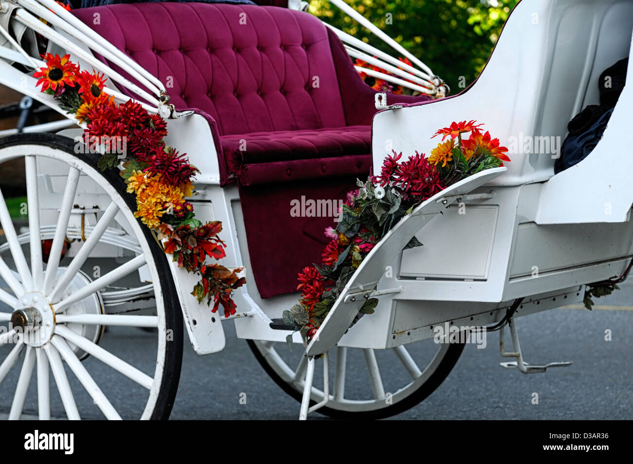 horse drawn cart carriage buggy traditional mode transport