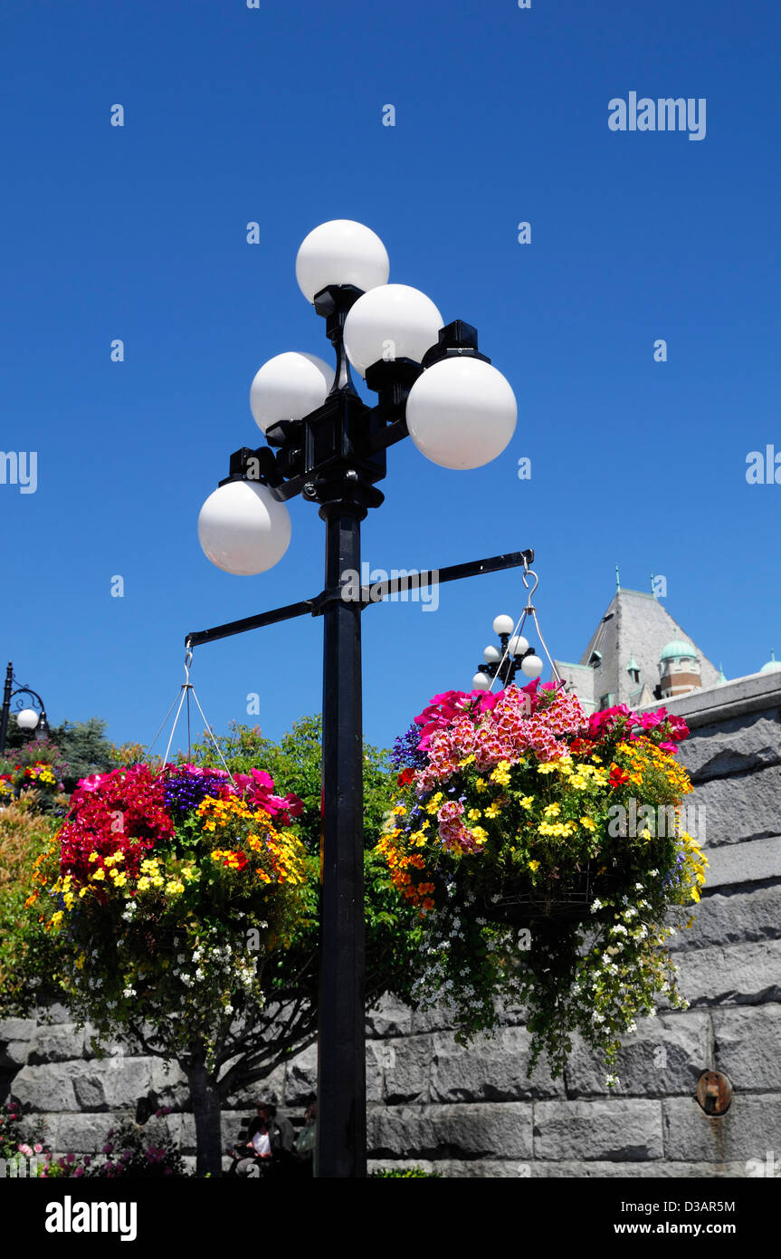 Hanging baskets hires stock photography and images Alamy