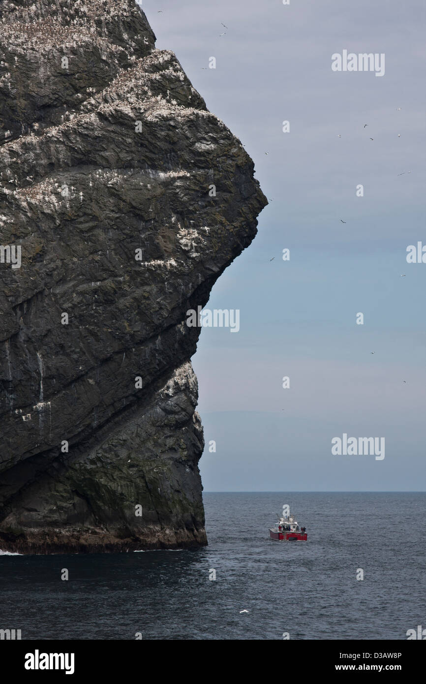 The sea stacs of Stac Lee, Stac An Armin and the island of Boreray with sea bird colonies, Hilda in the St Kilda archipelago Stock Photo