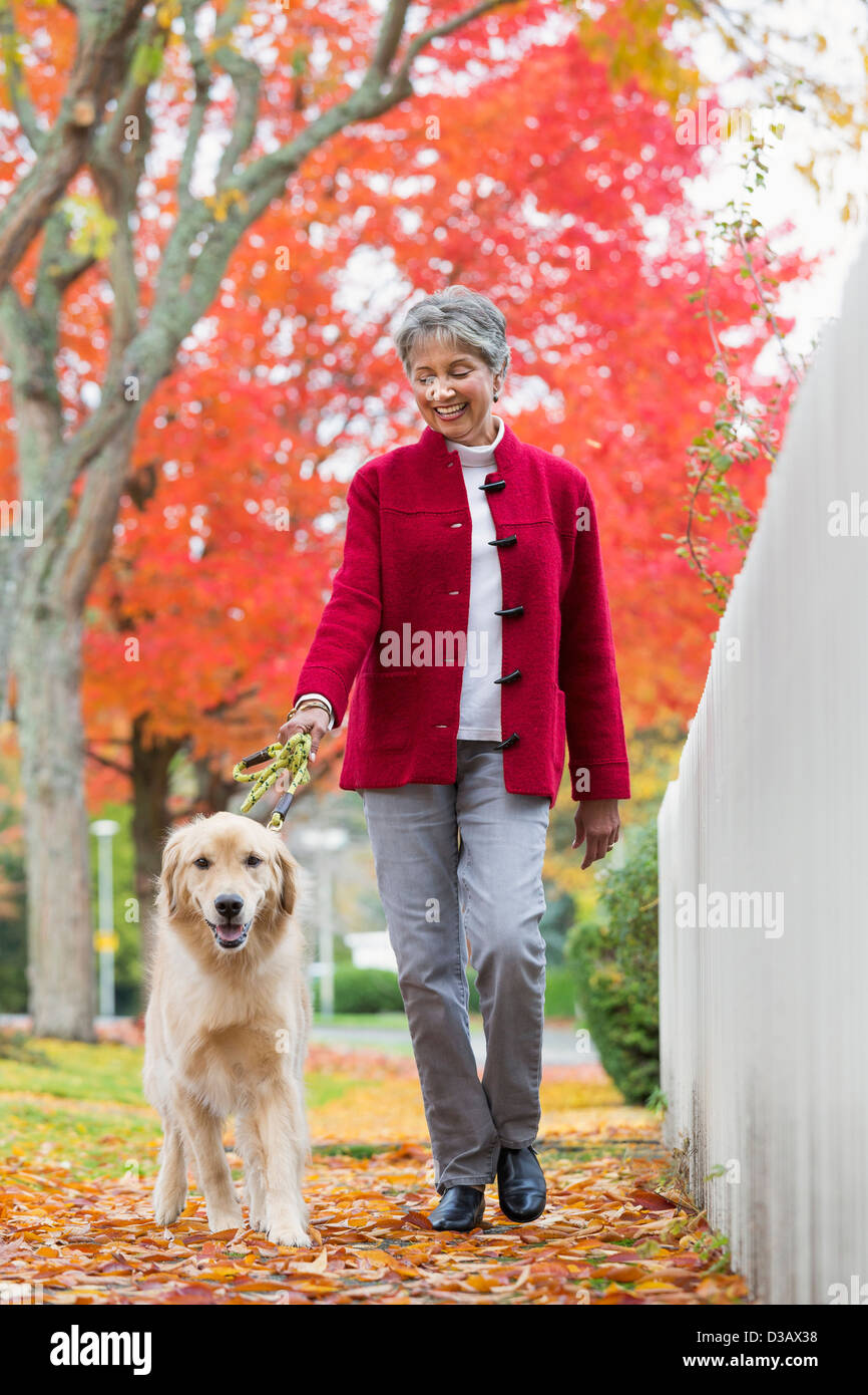 Mixed race woman walking dog Stock Photo