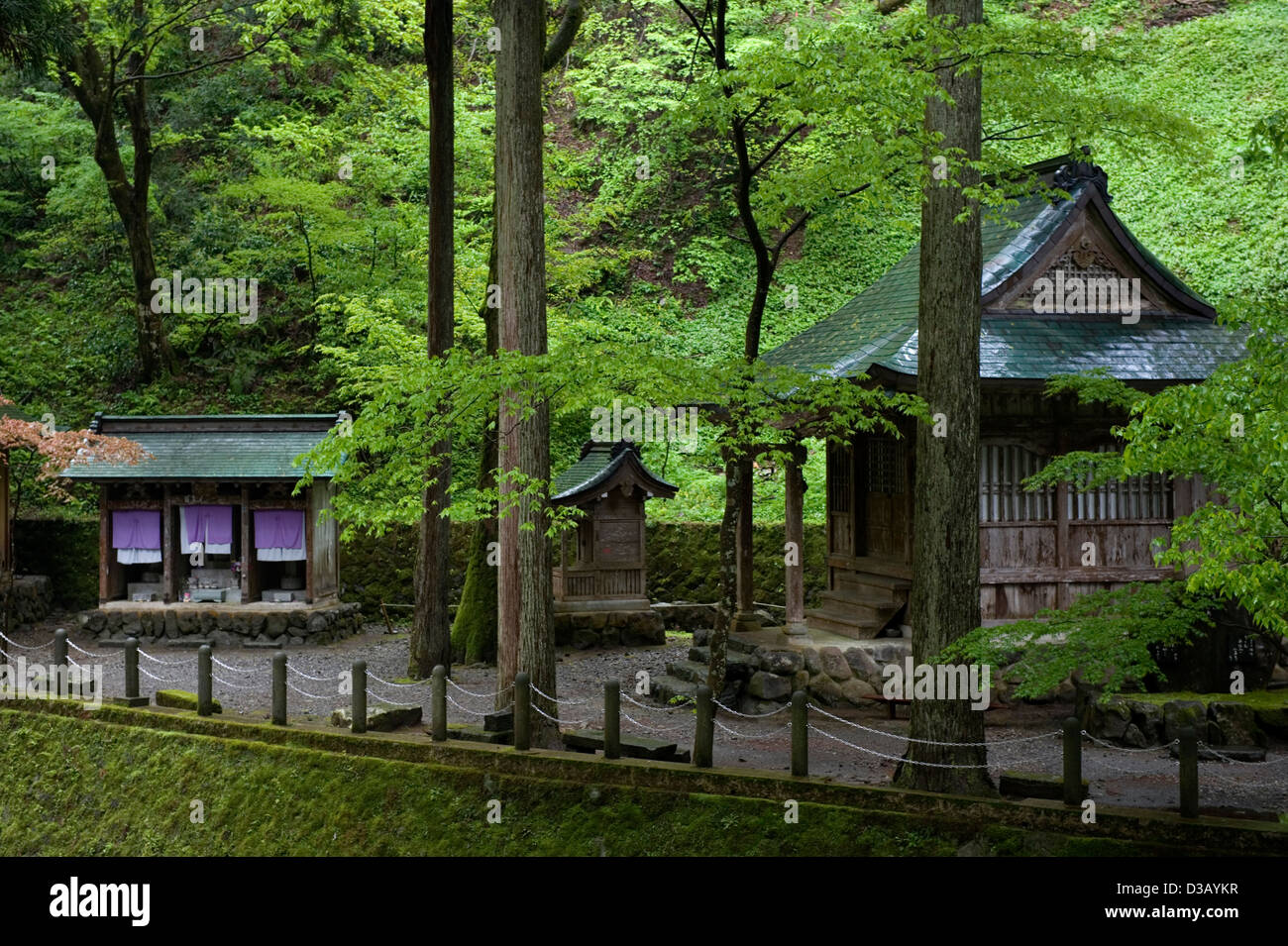 Lush green forest surrounds Buddhist buildings of Eiheiji Zen Buddhist Temple nestled deep in the mountains of Fukui Prefecture. Stock Photo