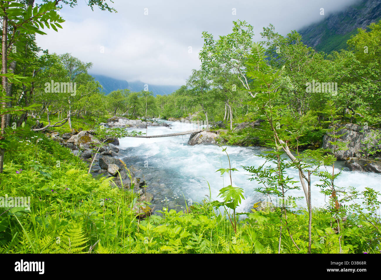 boiling water of a river in the Norwegian mountains Stock Photo