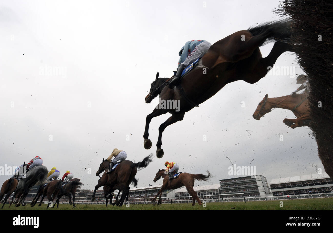 Horses jump a fence during The Cheltenham Festival an annual horse racing event in England Stock Photo