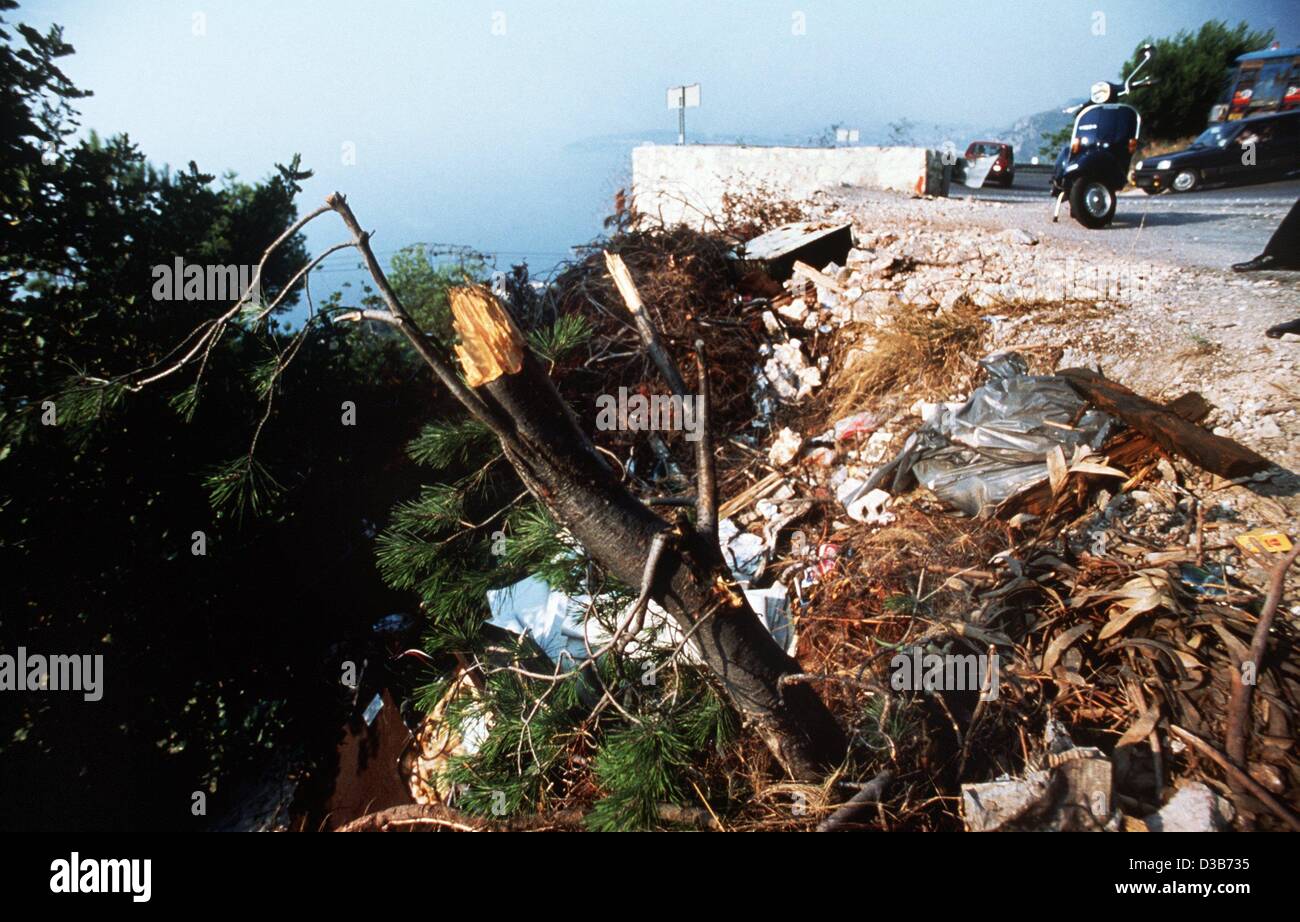 images Lieu Accident Grace Kelly https www alamy com stock photo dpa files a general view of the car wreckage of princess grace of 53722121 html