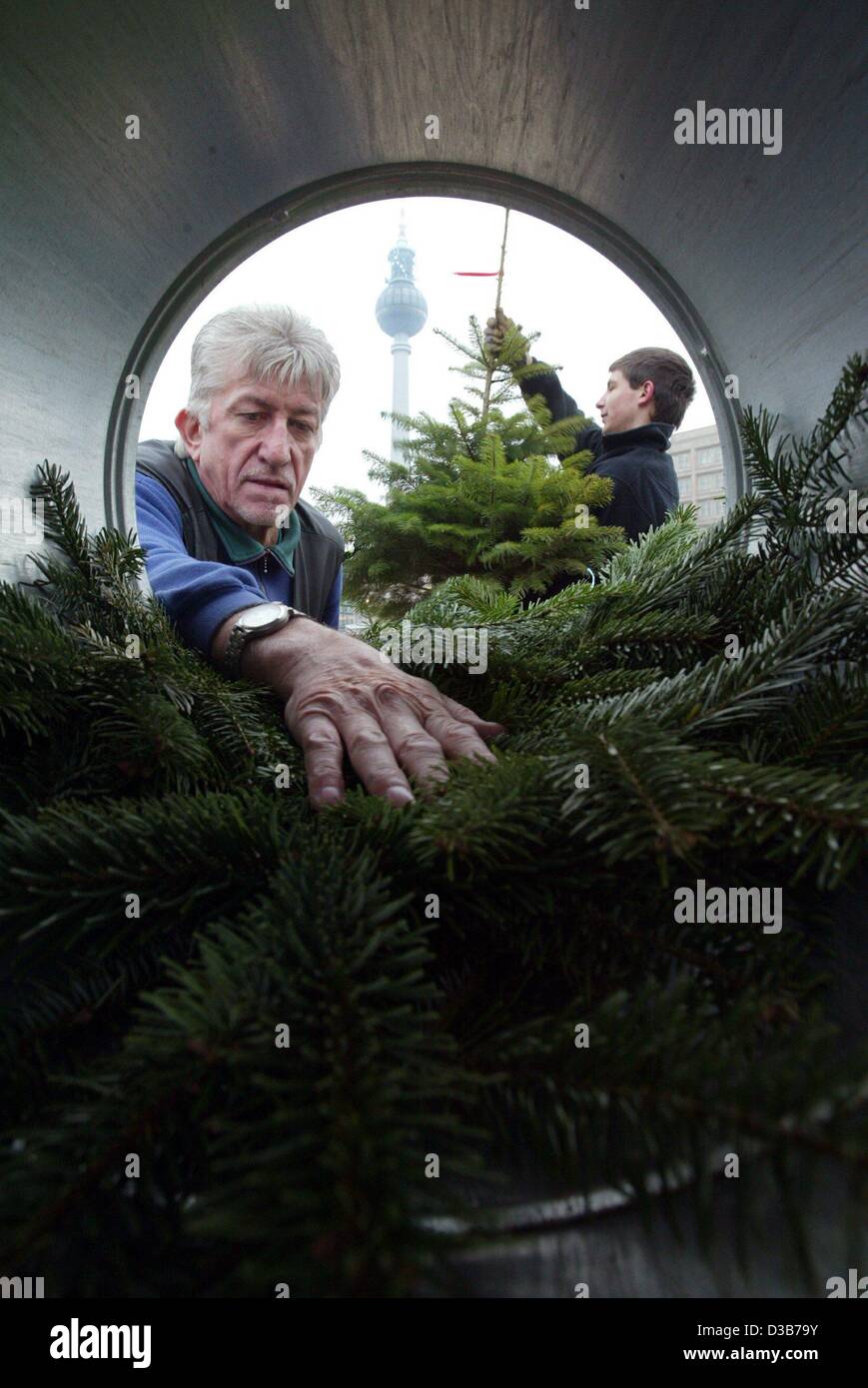 (dpa) - Manfred Schneider handles a packaging machine for christmas trees near the television tower (in the background) in Berlin, 5 December 2002. Most of the fir trees are specially grown on plantations for christmas. Some 24 million christmas trees are sold in Germany. Stock Photo